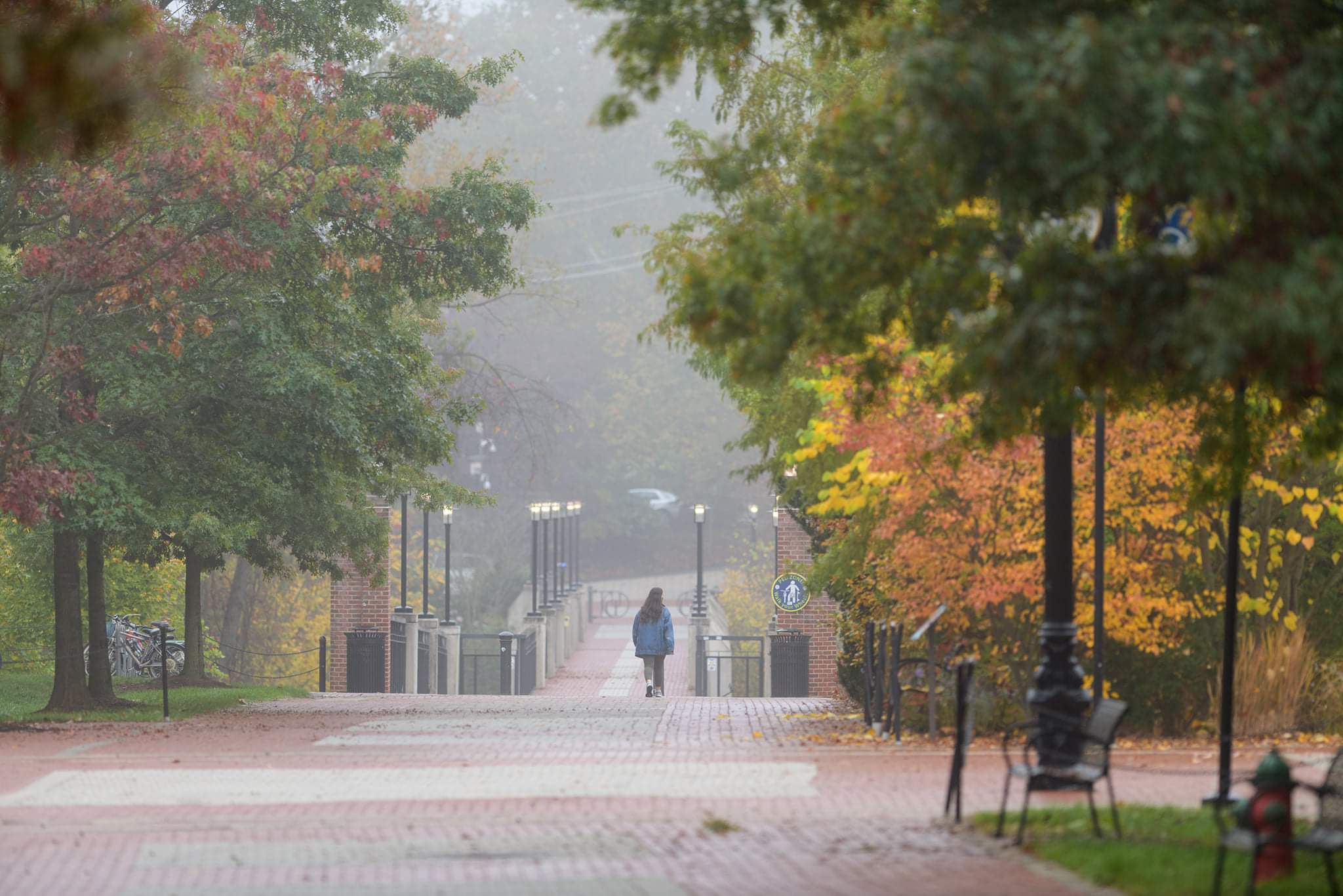 University campus in autumn