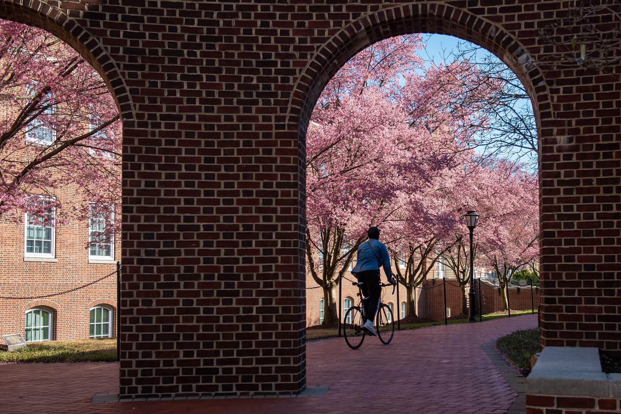 University campus in spring